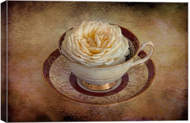  Pretty rose in tea cup Canvas Print by Eddie John