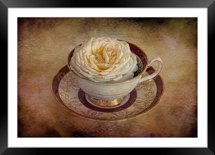  Pretty rose in tea cup Framed Mounted Print by Eddie John