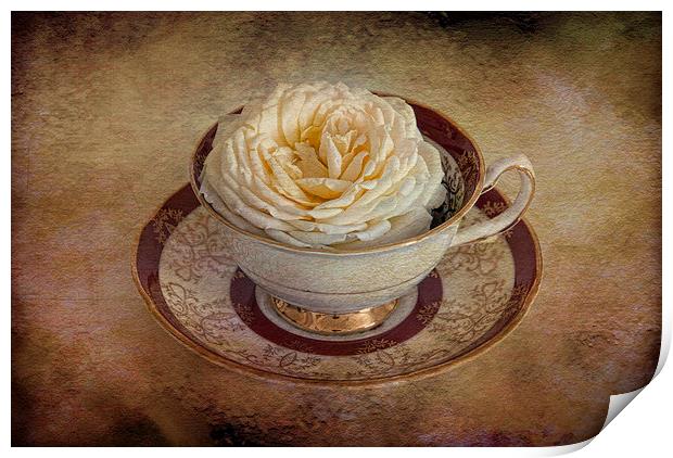  Pretty rose in tea cup Print by Eddie John