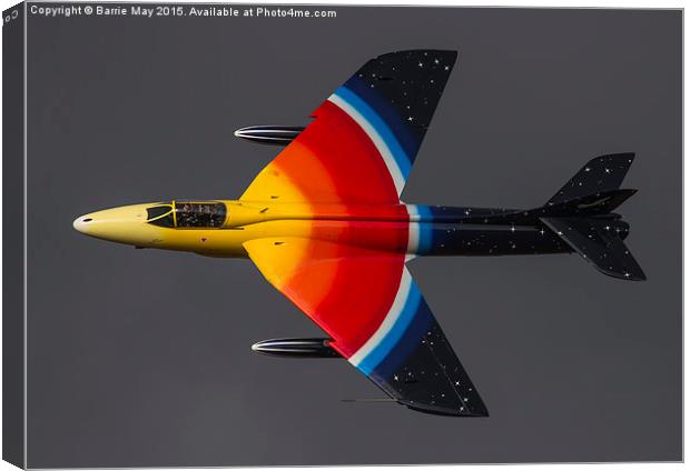 Miss Demeanour in Stormy Skies Canvas Print by Barrie May