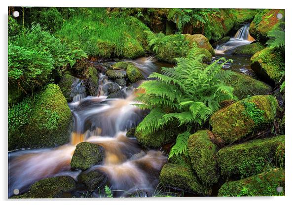 Wyming Brook in Summer Acrylic by Darren Galpin