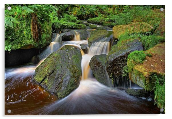 Wyming Brook Falls in Summer  Acrylic by Darren Galpin