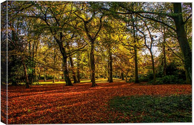 		 autumn in the park		.	 Canvas Print by stephen king