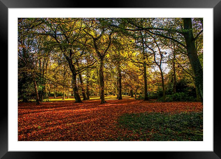 		 autumn in the park		.	 Framed Mounted Print by stephen king