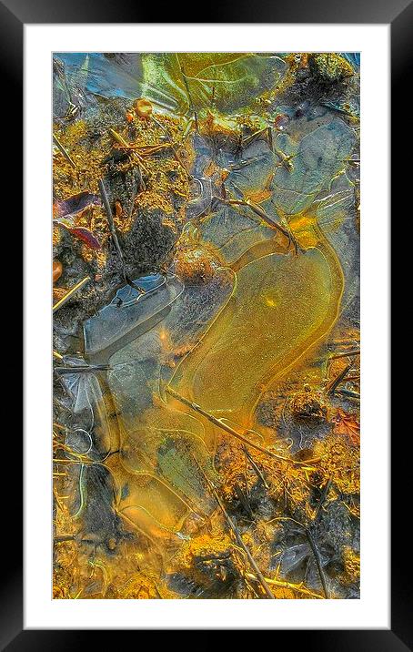  Ice  Framed Mounted Print by Carmel Fiorentini