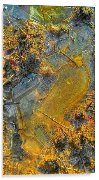  Ice  Acrylic by Carmel Fiorentini