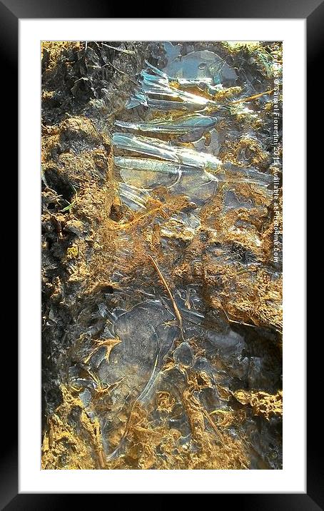  Ice footprints. Framed Mounted Print by Carmel Fiorentini