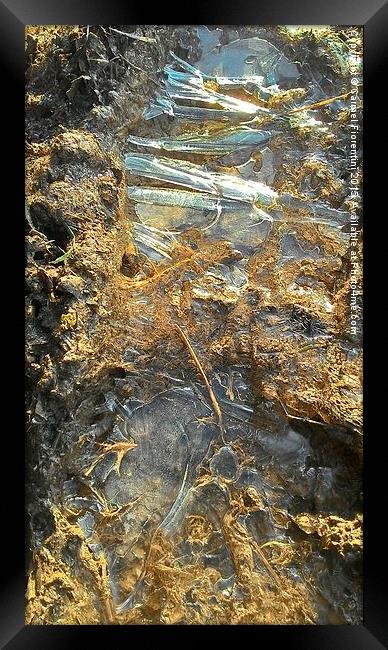  Ice footprints. Framed Print by Carmel Fiorentini