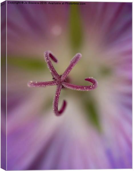 heart of the flower Canvas Print by Jo Beerens