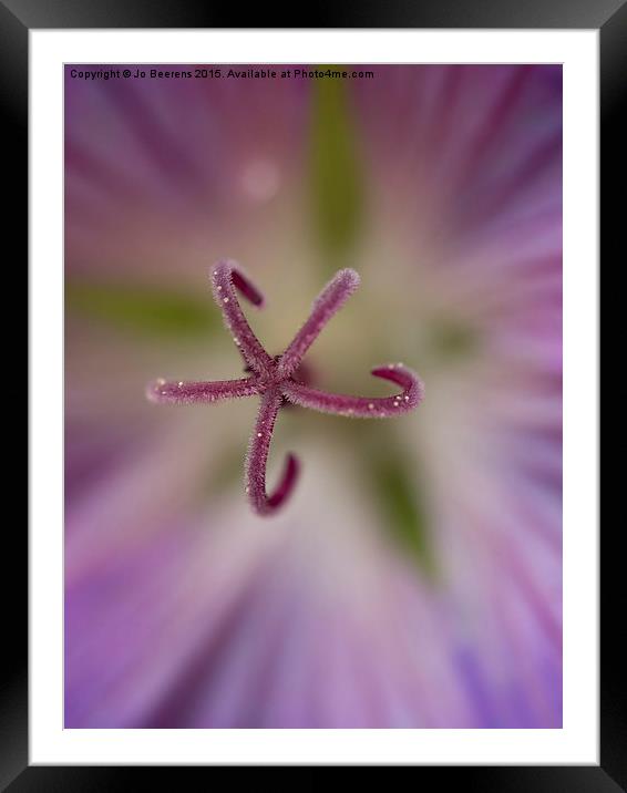 heart of the flower Framed Mounted Print by Jo Beerens