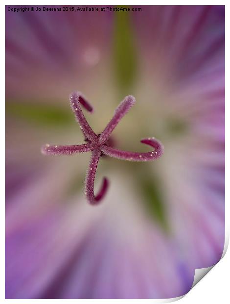 heart of the flower Print by Jo Beerens