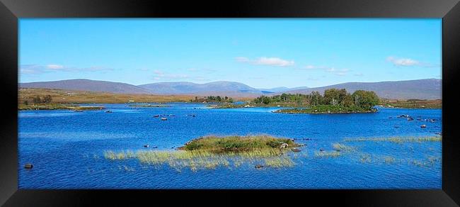  highland landscape      Framed Print by dale rys (LP)
