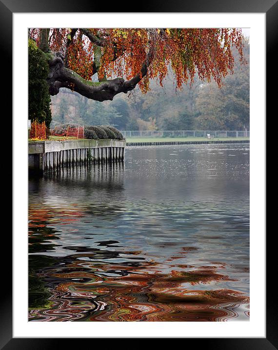  Temple Island Henley Framed Mounted Print by Tony Bates