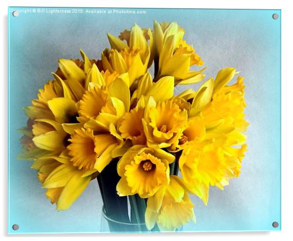 Mini Daffodil Delight Acrylic by Bill Lighterness
