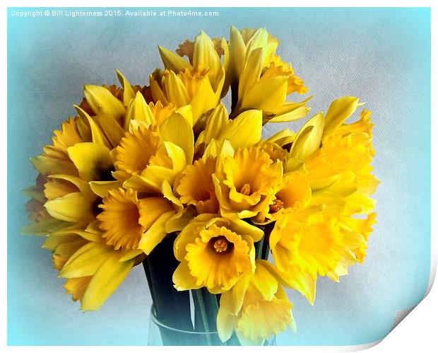 Mini Daffodil Delight Print by Bill Lighterness