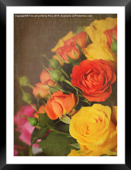  Textured Roses Framed Mounted Print by Fine art by Rina