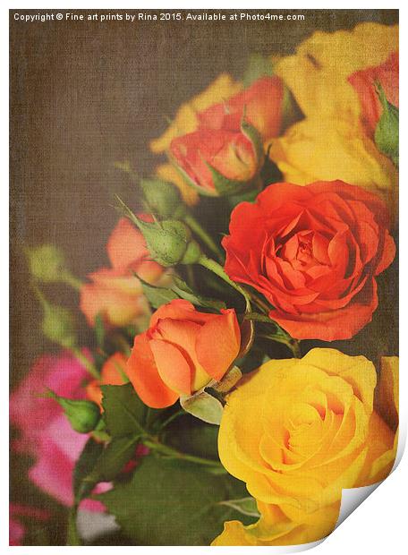  Textured Roses Print by Fine art by Rina