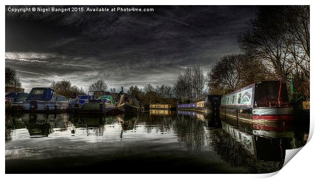  River Stort Print by Nigel Bangert