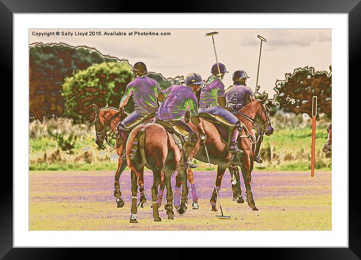  Polo in colour Framed Mounted Print by Sally Lloyd