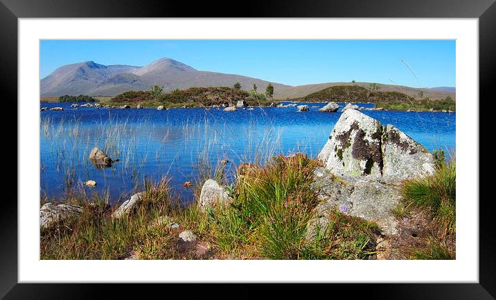  highland landscape      Framed Mounted Print by dale rys (LP)