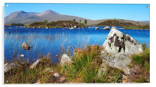  highland landscape      Acrylic by dale rys (LP)
