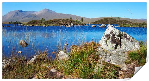  highland landscape      Print by dale rys (LP)