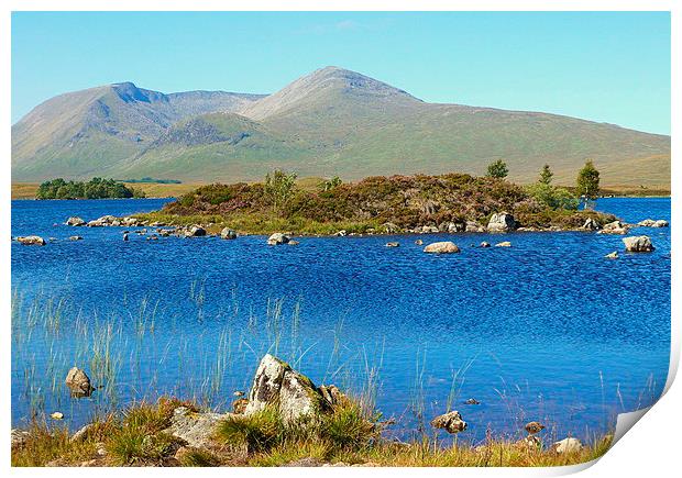  highland landscape       Print by dale rys (LP)