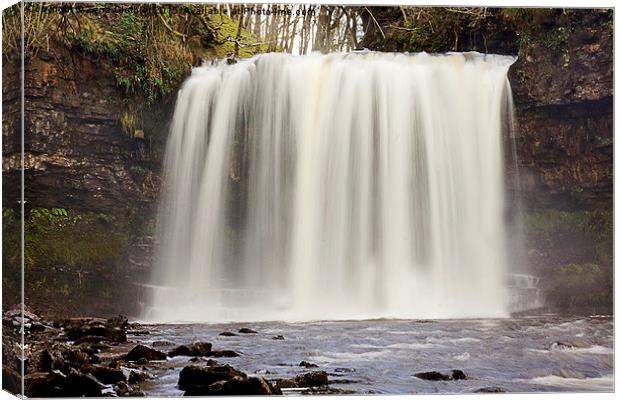 Waterfall Cascade Canvas Print by Zena Clothier