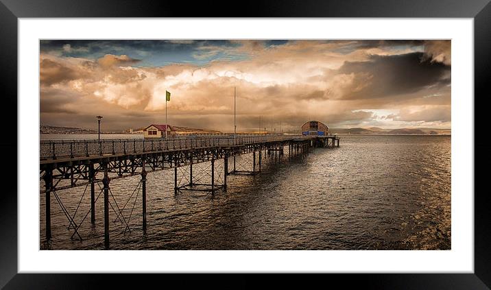  Mumbles pier and lifeboat station Framed Mounted Print by Leighton Collins
