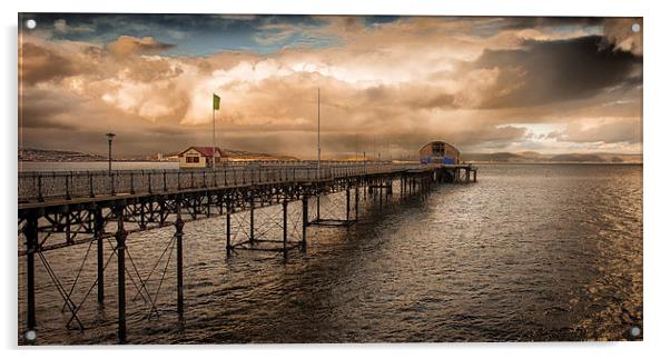  Mumbles pier and lifeboat station Acrylic by Leighton Collins
