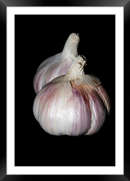 Garlic Framed Mounted Print by Steve Purnell