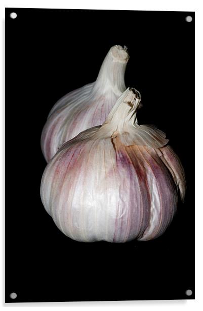 Garlic Acrylic by Steve Purnell