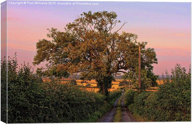  Lane and Tree Canvas Print by Paul Williams