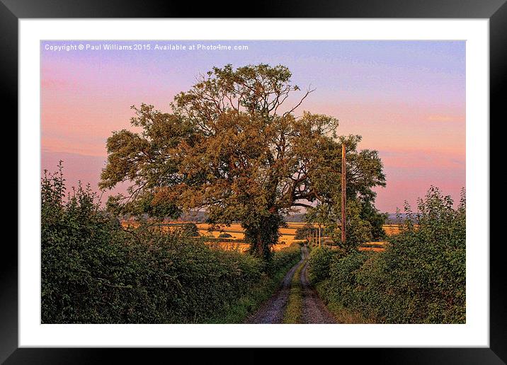  Lane and Tree Framed Mounted Print by Paul Williams