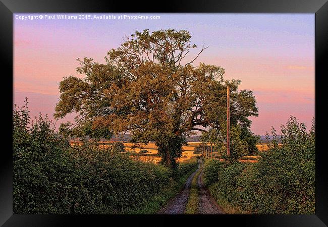  Lane and Tree Framed Print by Paul Williams