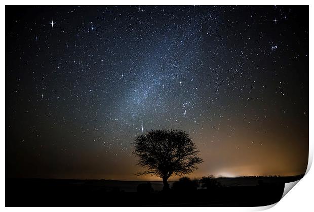 Stars over the New Forest Print by Chris Nesbit