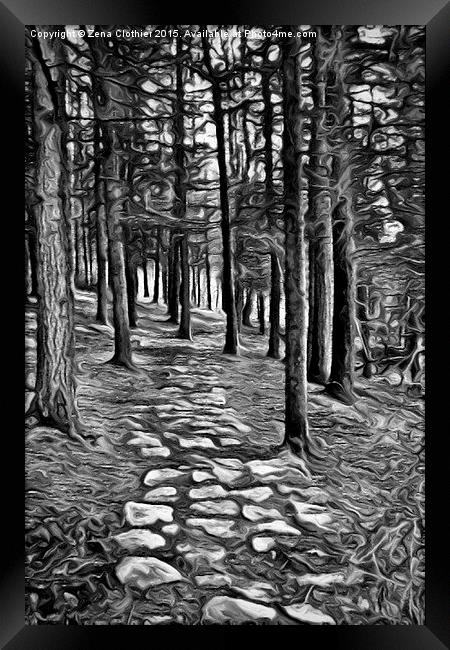  Painted Woodland Path Framed Print by Zena Clothier