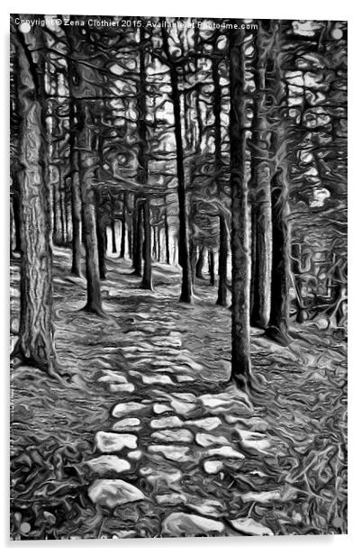  Painted Woodland Path Acrylic by Zena Clothier