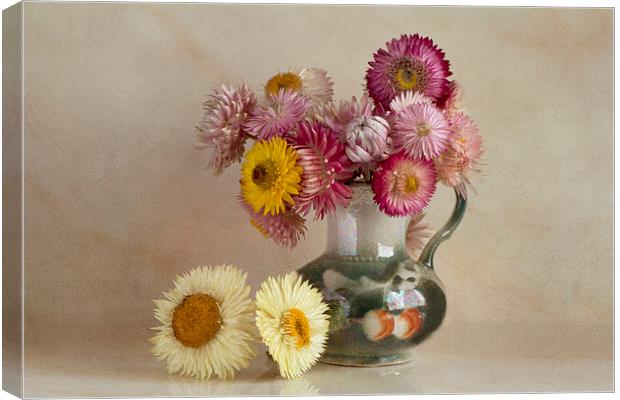 Everlasting flowers in vase  Canvas Print by Eddie John