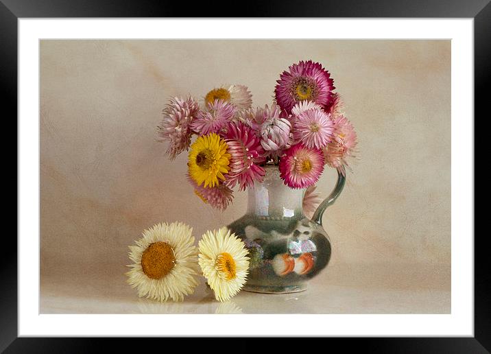  Everlasting flowers in vase  Framed Mounted Print by Eddie John
