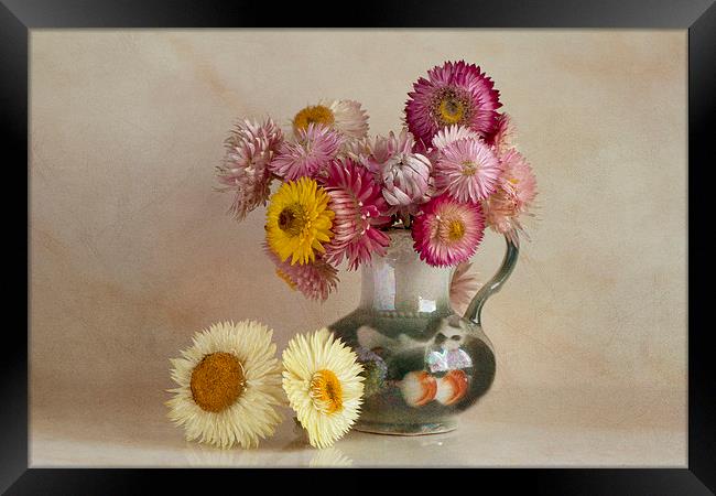  Everlasting flowers in vase  Framed Print by Eddie John