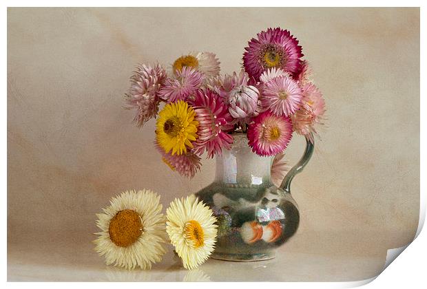  Everlasting flowers in vase  Print by Eddie John
