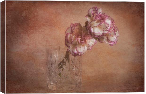  Two pink carnatioms in a glass Canvas Print by Eddie John