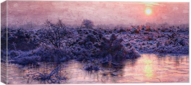  New Forest sunrise in January  by JCstudios 2015 Canvas Print by JC studios LRPS ARPS