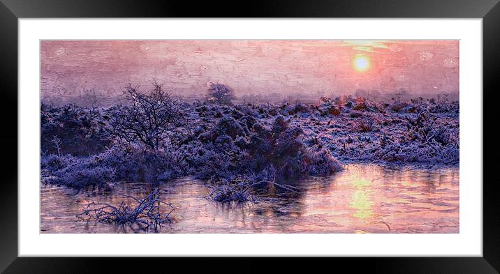  New Forest sunrise in January  by JCstudios 2015 Framed Mounted Print by JC studios LRPS ARPS