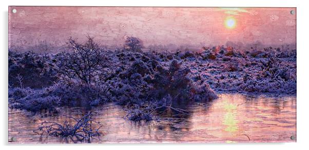 New Forest sunrise in January  by JCstudios 2015 Acrylic by JC studios LRPS ARPS