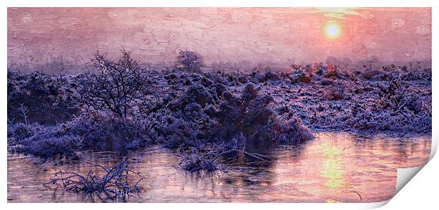  New Forest sunrise in January  by JCstudios 2015 Print by JC studios LRPS ARPS