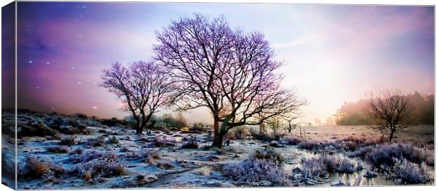  Crockford in the New Forest Canvas Print by JC studios LRPS ARPS