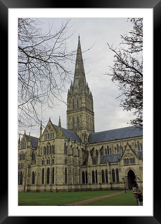  Salisbury Cathedral Framed Mounted Print by Tony Murtagh