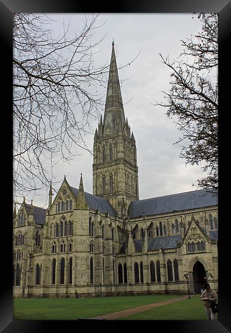  Salisbury Cathedral Framed Print by Tony Murtagh